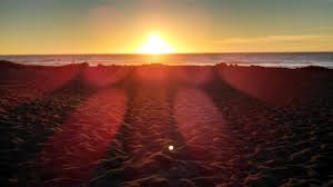 We did not find results for: Sunset At Mattole Campground Picture Of King Range National Conservation Area California Tripadvisor