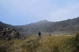 Maybe you would like to learn more about one of these? File Tanah Lapang Di Gunung Welirang Jpg Wikimedia Commons