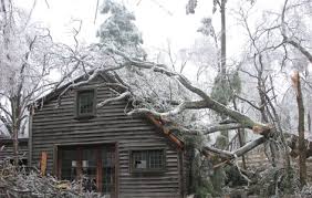 Prentice & Bush Tree Service