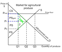 Government Intervention Minimum Price Price Floor Ib Notes