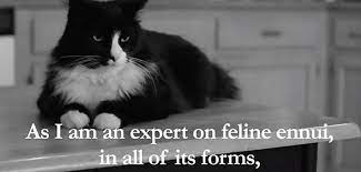 Henri Le Chat Noir Is An Expert On Feline Ennui Henri The Cat Le Chat Noir Cat People