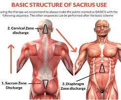 For example, endometriosis is a common condition that may create sporadic. Instructions To Use Sacrus Cordus United States