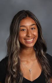 Hillegonds takes helm of Honors English 11