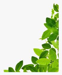 You can download the png for free in the best resolution and use it for design and other. Leaf Clip Art Green Leaves Png Transparent Png Transparent Png Image Pngitem