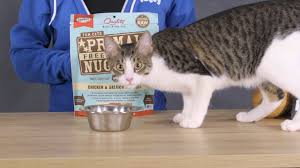 Raw cat food advocates have long sworn by the health benefits of feeding cats raw, especially with the fears brought about by the pet food recalls, especially the major one that occurred in 2007. Primal Freeze Dried Nuggets For Cats Raw Food For Cats Chewy Youtube