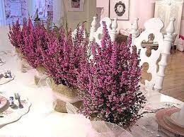 V Day Brunch Table 3 Jpg Image Potted Plant Centerpieces Plant Centerpieces Wedding Flowers