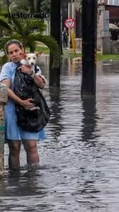 El Estornudo | Inundaciones, fuertes lluvias, el malecón de La Habana desbordado… Estas son las imágenes de algunos municipios de Cuba afectados por el... | Instagram