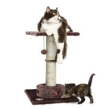 tucker murphy pet 23 maye cat perch wayfair wayfair com tucker murphy pet 23 maye cat perch wayfair tucker murphy pet 23 maye cat perch c