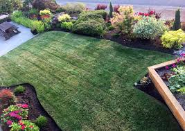 We did not find results for: Lawn Doctors Call 206 Doctors Licenced Landscaping And Lawn Maintenance In Greater Seattle