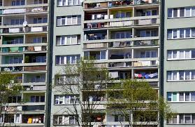 12439 berlin (niederschöneweide) kelleranteil, renoviert, saniert, einbauküche, zentralheizung 600 € kaltmiete zzgl. Umzugshelfer Berlin Treptow Kopenick Studentische Umzugshelfer Berlin