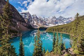 Each cabin comes equipped with central heat/air conditioning, gas fireplace, dishes, pots and pans. Moraine Lake Lodge Bewertungen Fotos Preisvergleich Lake Louise Kanada Tripadvisor