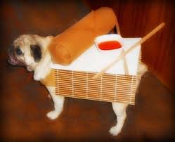 I Ll Take My Egg Roll To Go On Four Legs Dog Costume Dog Items Dog Halloween