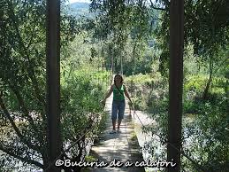 Mocaniţa de pe valea vaserului (vişeu), rezervaţia biosferei din munţii rodnei (patrimoniu unesco), bisericile de lemn de pe valea izei (patrimoniu mondial unesco), muzeul. Valea Izei Bucuria De A Calatori