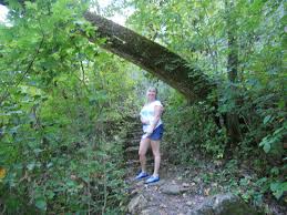 Silver mines campground is located on the st. Hiking Trails In The Mark Twain National Forest In Missouri Missouri Hiking Camping In Illinois Mark Twain National Forest