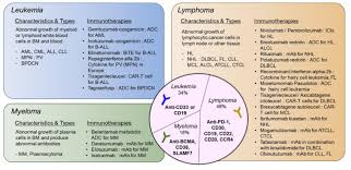 Image result for Hematologic Cancer