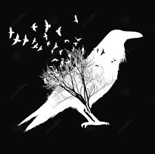 Black And White Raven Art Gaia Cacciola On Twitter Raven Art Crow Art Raven And Wolf