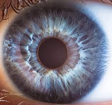 Lasik Eye Surgery Archives Popular Posts Augen Fotografie Augen Zeichnen Iris Fotografie