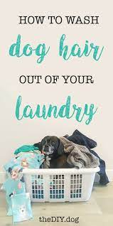 What dissolves dog hair in a washing machine? How To Wash Dog Hair Out Of Clothes And Blankets Kol S Notes