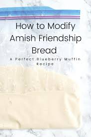 The basic starter is made by mixing 1 cup flour, 1 cup sugar, 1 cup milk, and 1 teaspoon yeast. Perfect Blueberry Muffins How To Modify Amish Friendship Bread Olive Real Food