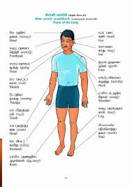 Starkidsworld #humanbodyparts #kidseducation learn human body parts name in tamil and english with pictures for kids and. Our Study World Sinhala Tamil And English Basic Learn