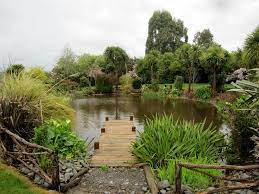 pond jetty tuin buiten