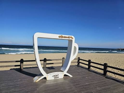 안목해변 커피거리 사진 3