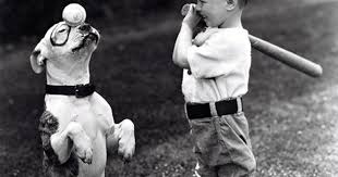 It was originally named our gang. Famous Dogs Rip Cbs News