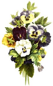 We did not find results for: Download Hd Flower Bouquet Pink Flowers Flower Clipart Pansies Bouquet Of Flowers Drawing Png Transparent Png Image Nicepng Com