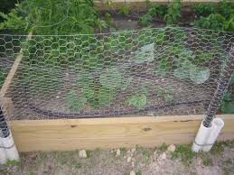 Pin On Small Budget Gardening