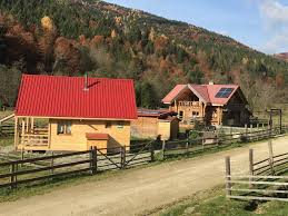 Great savings on hotels & accommodations in zarnesti, romania. Ferienhaus In Zarnesti Plaiul Foii Mieten Fh35303