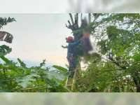 Gudang garam dituntut membayar ganti rugi rp 178.074.000, merupakan uang yang selama ini untuk membeli produk gudang garam, dan santunan senilai rp 500 miliar. Gudang Garam Grenjeng Bojonegoro Berita Resmi Merek Seri A Pdf Download Gratis Keliling Pabrik Rokok Gudang Garam Kediri
