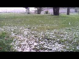 Forti raffiche di vento, disagi a bologna e provincia: Video Meteo Grandine Bologna Ilmeteo It