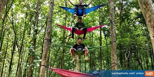 Teknik pengelolaan sampah yang ramah lingkungan di universitas sumatera utara. Hutan Seklantang Sukobubuk Margorejo Disiapkan Sebagai Buper Sekaligus Destinasi Wisata Edukasi Wartaphoto Net
