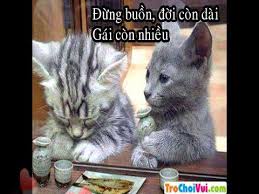 Kết quả hình ảnh cho những hình ảnh bá đạo