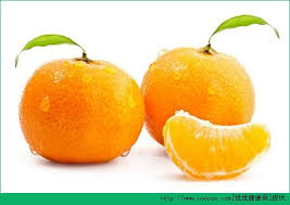 在秦始皇儿子的统治下，中国历史上第一次农民起义发生了，秦朝不久就灭亡了。 政府还有老百姓交税。 这样，农民起义发生了。 这样，明朝的统治就结束了。 当时中国东北地区的一个少数民族满族镇压了这次农民起义，开始了对中国的统治。 æ©™å­å'Œæ©˜å­æœ‰ä»€ä¹ˆåŒºåˆ« æ©™å­å'Œæ©˜å­çš„è¥å…»åŒºåˆ«ä»‹ç» å¤šå›¾ ä¼˜ä¼˜å¥åº·ç½'