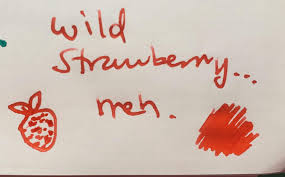 Image result for newwindow=1 diamine wild strawberry