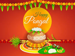 Creative pongal festival greeting card. Happy Pongal Scene Greetings Free Personalised Greetings