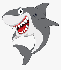 While in tallahassee, the franchise was affiliated with the nhl's new york islanders, florida panthers, and montreal canadiens. Cute Shark Cartoon Tiger Shark Cartoon Png Transparent Png Kindpng