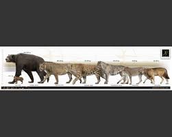 The Extinct Predators Of North America Pleistocene Prehistoric Wildlife Prehistoric World Prehistoric Animals