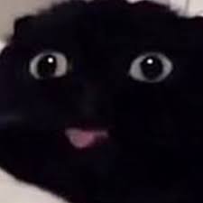 Stick that tongue out lol cat memes c b love. Create Meme Cute Cats Cats Black Cat With Tongue Pictures Meme Arsenal Com