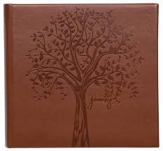 We did not find results for: Pinnacle Faux Leather Family Tree Embossed Photo Album Holds 120 4 X6 Photos Walmart Com Walmart Com