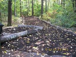 In august of 1966, bulldozer operator edward mccarthy was excavating a rocky site for a state building. Rocky Hill Parks Recreation Facility Details