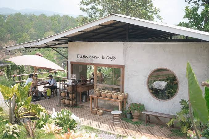 清邁大象咖啡館