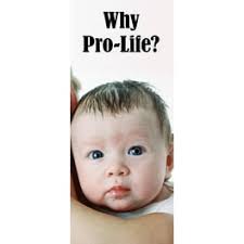 Gramata Corp WH8259 Mail Organizer- White Finish