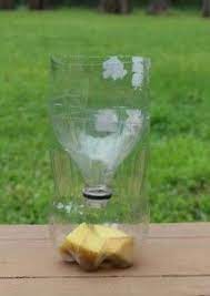 Quick And Easy Homemade Fly Trap Really Works Homemade Fly Traps Fly Traps Fly Repellant