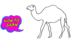 Easy step by step tutorial on how to draw an arabic camel, pause the video at every step to follow the steps carefully. Camel Outline Easy Want To Learn How To Draw A Camel Easy Watch This Entire Video As We Show You Step By Step Sketch Of A Camel Biduan