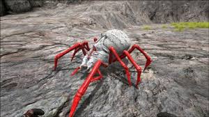 Get E Book Spider In The Ark Download game guide pdf, epub & ibooks. get e book spider in the ark