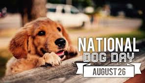 If you pick up a starving dog and make him prosperous he will not bite you. National Dog Day 2020 Quotes Greetings Sms Slogans Wishes Messages Cute Photos Gsmarena Com