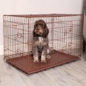 Dog Crates And Accessories Gates Pens Pets At Home Pet crate for small dogs: