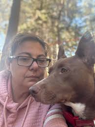 Pet friendly housing options needed?